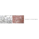 Floors & Coverings